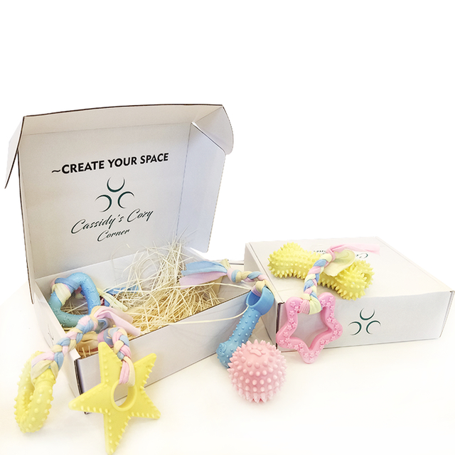 Foldable Custom Logo Eco Friendly Corrugated Mailer Pet Toy Packaging Gift Paper Shipping Box Manufacturer For Pet