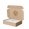 Custom packaging corrugated box sneaker shoe packaging box with custom logo